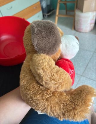 Peluche cane con cuore I love you
