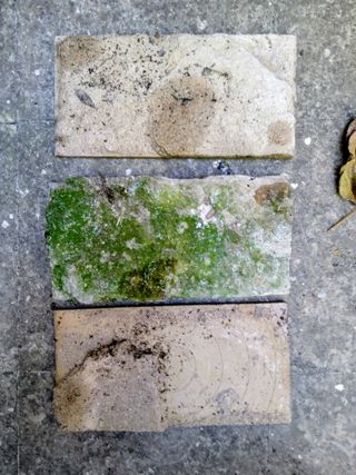 Azulejos antiguos Mensaque Rodríguez de Triana