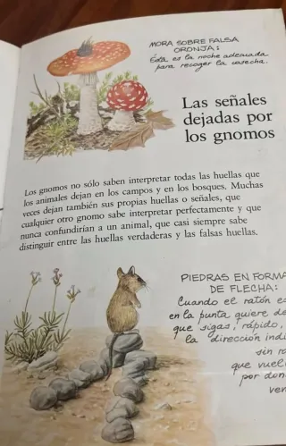 Coleccion El libro de los Gnomos.