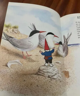 Coleccion El libro de los Gnomos.
