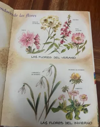 Coleccion El libro de los Gnomos.