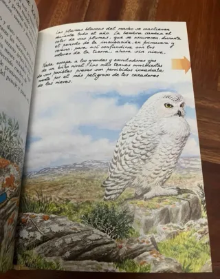 Coleccion El libro de los Gnomos.