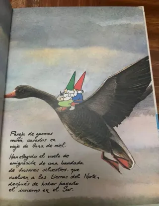 Coleccion El libro de los Gnomos.