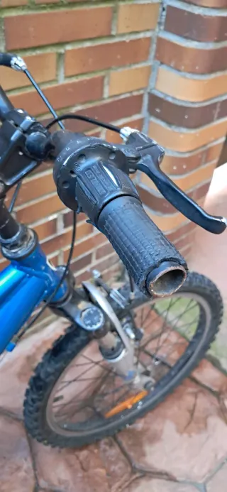 Bicicleta infantil TREK MT60