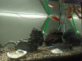 Acuario 200L Completo