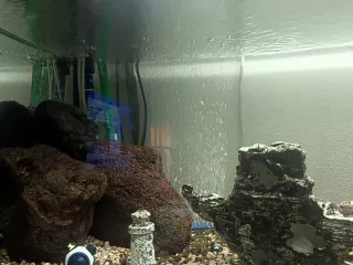 Acuario 200L Completo