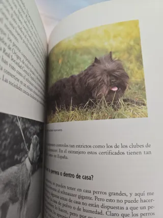El Schnauzer y el Pinscher