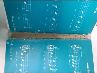 El niño, la golondrina y el gato