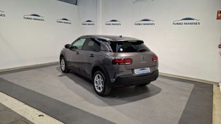 Citroën C4 Cactus BlueHDi 100 S&S Shine