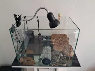 Isla Flotante Magnética Tortuga Exo Terra