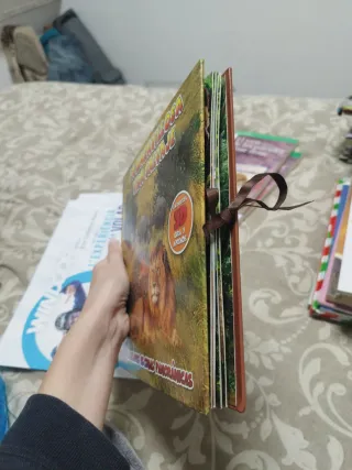 La maravillosa Vida Salvaje. 4 escenas panorámicas