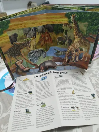 La maravillosa Vida Salvaje. 4 escenas panorámicas