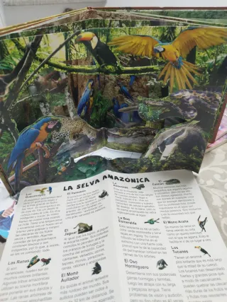 La maravillosa Vida Salvaje. 4 escenas panorámicas