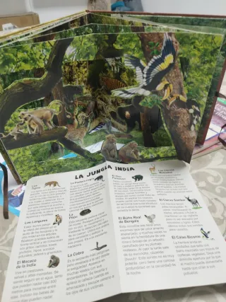 La maravillosa Vida Salvaje. 4 escenas panorámicas