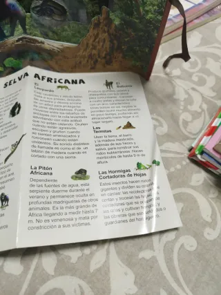 La maravillosa Vida Salvaje. 4 escenas panorámicas