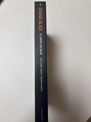 Amanda Black 9 - El camino del ninja