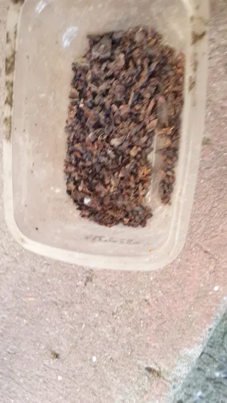 Sementes de Maracujá e Banana