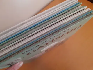 LEER Lote cómics Le Chat Geluck francés y español