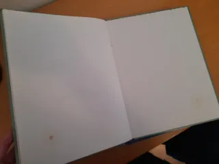 LEER Lote cómics Le Chat Geluck francés y español