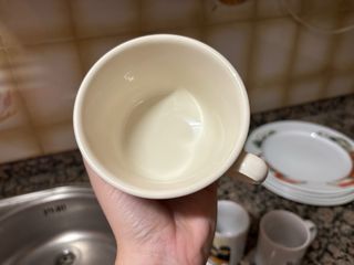 Taza de cerámica con diseño de pájaros