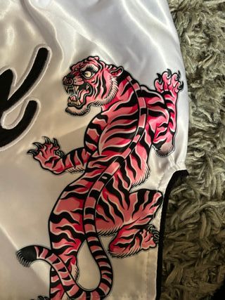 Fairtex Muay Thai Shorts todas las tallas