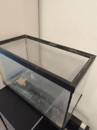 Acuario 50x39x25 con luz y filtro exterior.