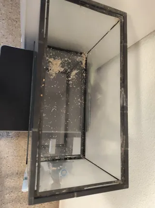 Acuario 50x39x25 con luz y filtro exterior.