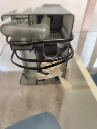 Acuario 50x39x25 con luz y filtro exterior.