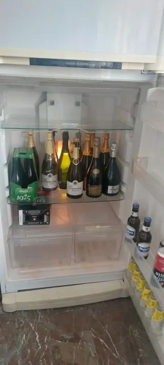 Nevera Goldstar Grande