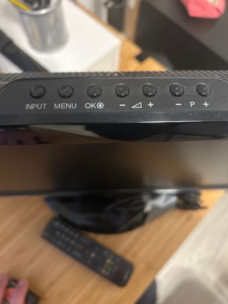 Pantalla TV/PC LG 19 pulgadas