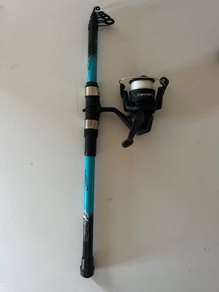 Cañas de pescar y accesorios