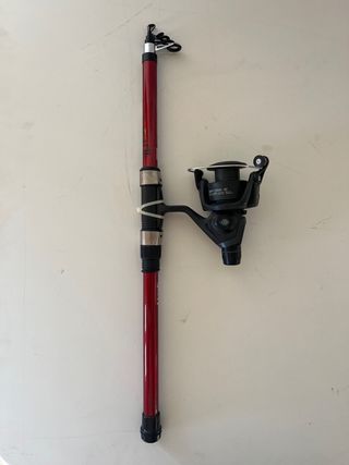 Cañas de pescar y accesorios