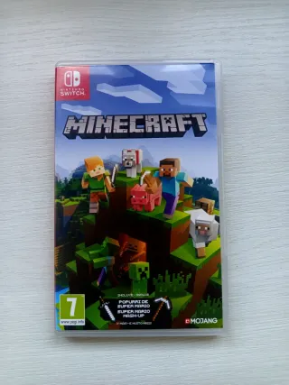 Minecraft Nintendo Switch