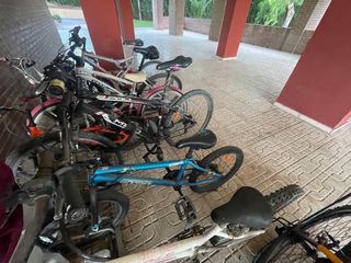 Bicicleta de montaña