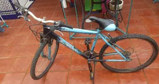 Bicicleta JL-Wenti