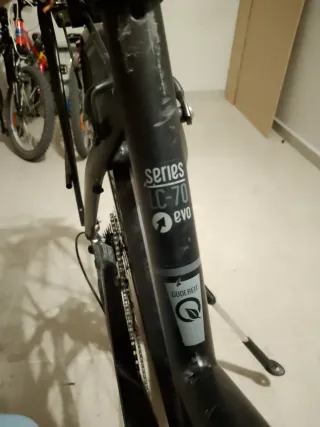 Bicicleta Gudereit LC 70 EVO