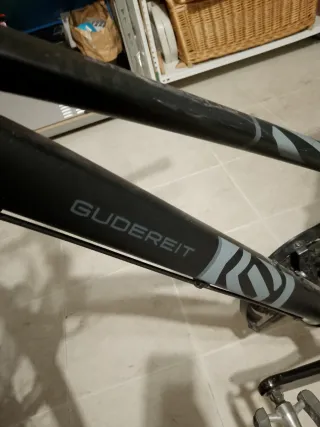 Bicicleta Gudereit LC 70 EVO