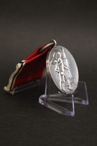 Medalla Alemana Anexión Austria Anschluss 1938