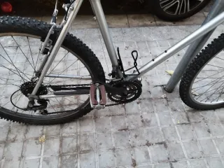 Bicicleta de Montaña Plata