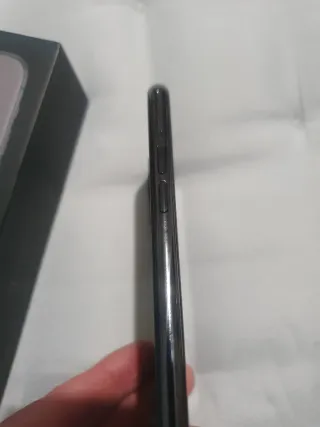 iPhone 11 Pro Max in titanio