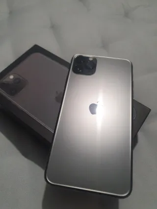 iPhone 11 Pro Max in titanio