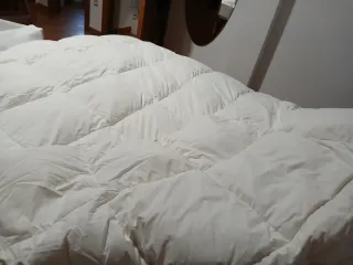 Edredón plumón oca blanco