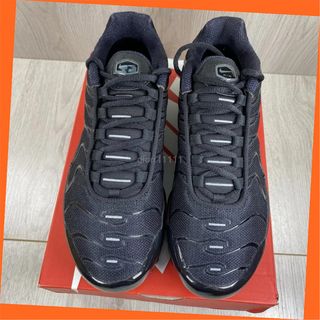 Nike TN Air Max Plus Negras