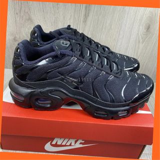 Nike TN Air Max Plus Negras