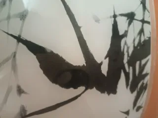 Lámpara de techo cristal y plástico