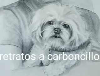 Retratos a carboncillo
