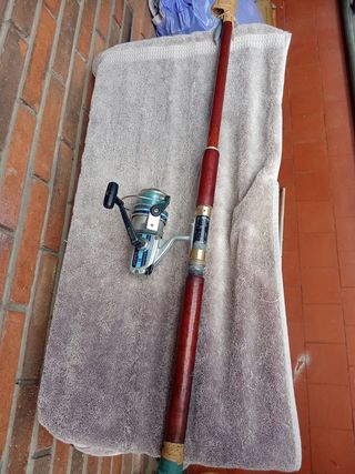 Caña de pescar Carswell