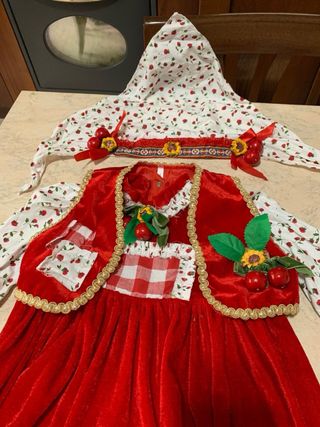 Vestito carnevale ciliegina cirasella Veneziano