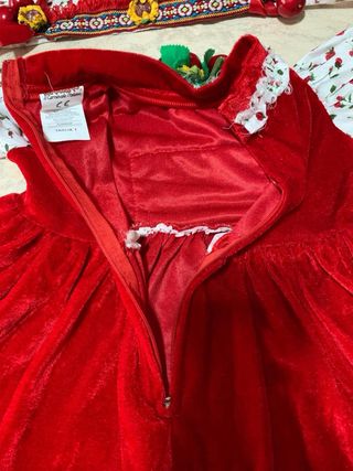 Vestito carnevale ciliegina cirasella Veneziano