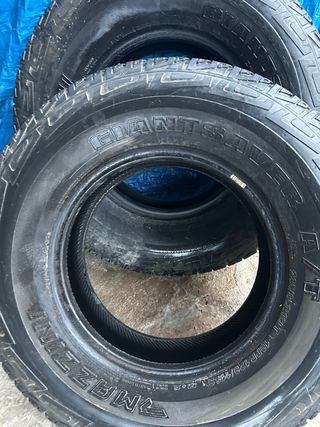 Ruedas de de larrover 2 ruedas